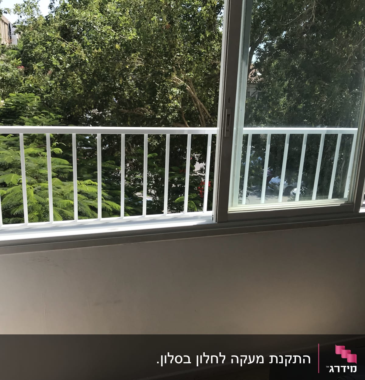 חלון עם מסגרת לבנה ונוף עצים ירוקים